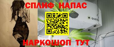 гашик Нарткала