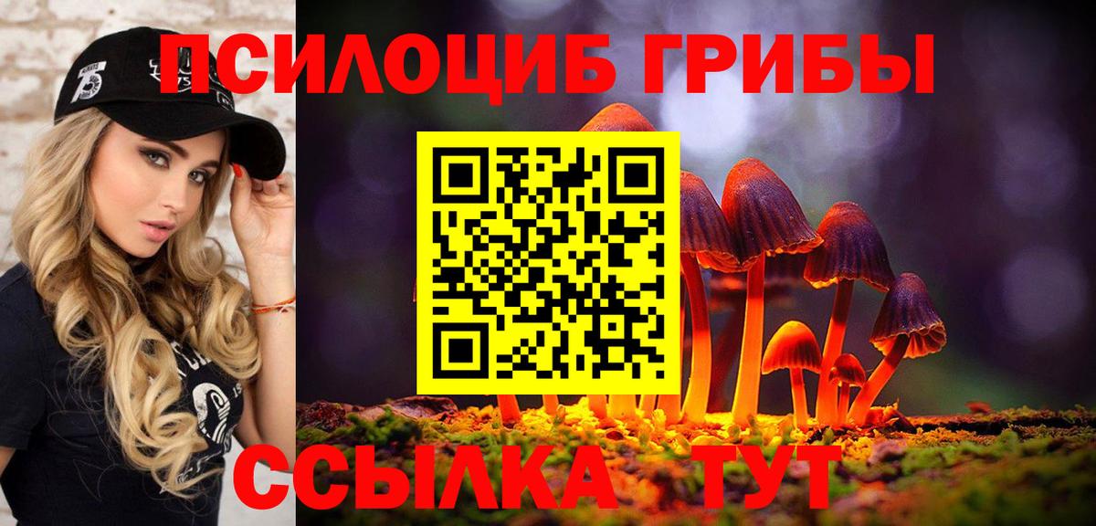 Галлюциногенные грибы Psilocybe  сколько стоит  Сыктывкар  Галлюциногенные грибы мицелий  Вход с VPN 